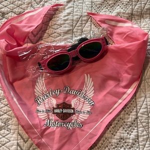 Harley Davidson dog bandana & goggles